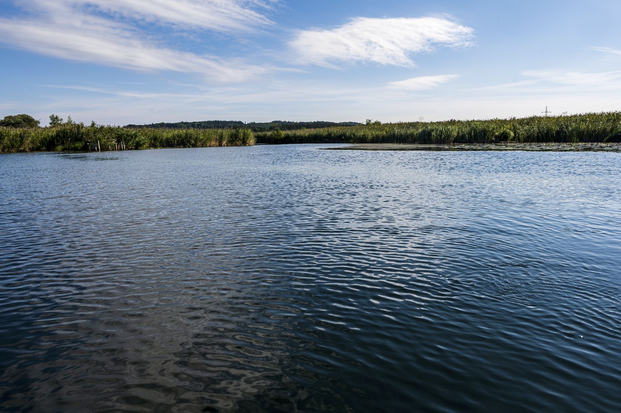Kajaktour Leutstettner Moos 21.08.2022
